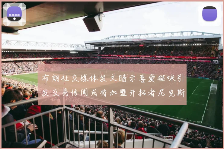 布朗社交媒体发文暗示喜爱猫咪引发交易传闻或将加盟开拓者尼克斯雷霆湖人